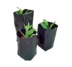 BOLSAS PARA ALMACIGO